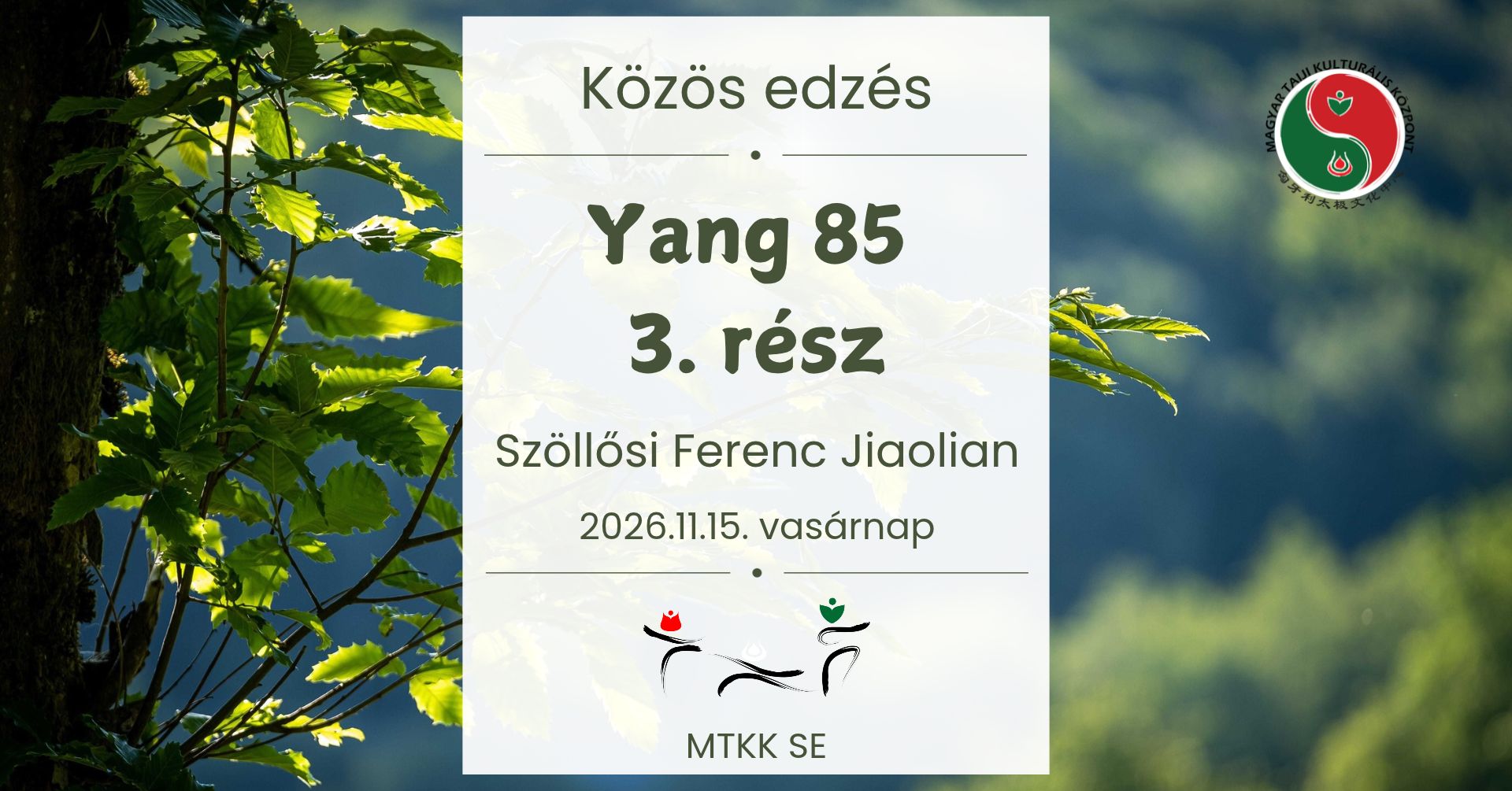 Yang 85 /3. rész